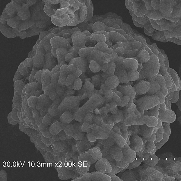 Electron microscope photographs (2).jpg