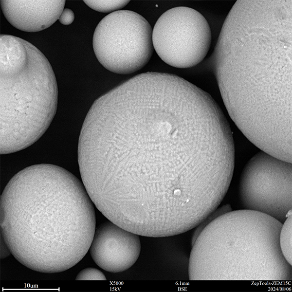 Electron microscope photographs (3).png