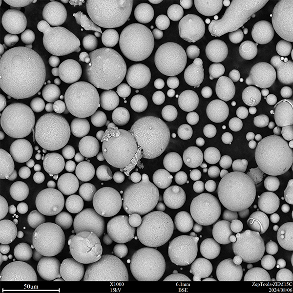Electron microscope photographs (2).png