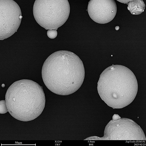 Electron microscope photographs  (2).png